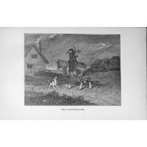   1921 Antique Print Earthstopper Man Horse Hounds Dogs
