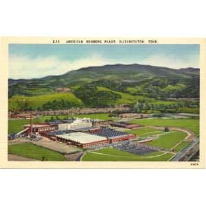 1940s Vintage Postcard American Bemberg Plant Elizabethtown Tennessee