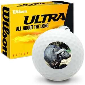   Water Buffalo   Wilson Ultra Ultimate Distance Golf Balls Sports