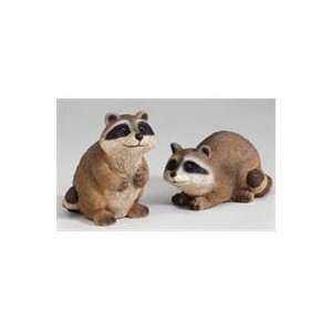  3 PACK RACOON BABY ASSORTMENT (Catalog Category Lawn 