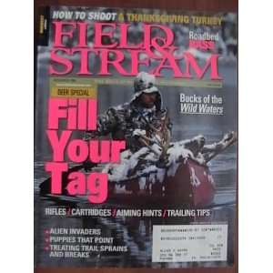   Stream November 1999 (Single Issue Magazine) field and stream Books