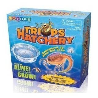  Grow Your Own Triops   A Living Dinosaur Toys & Games
