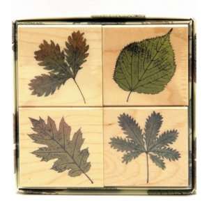  Hero Arts Poetic Prints Rubber Stamp   More Real Leaves 