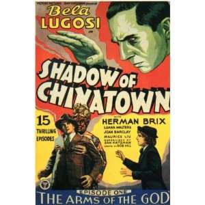  Shadow of Chinatown Movie Poster (11 x 17 Inches   28cm x 