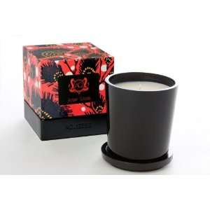  Aquiesse Amber Woods Scented Candle