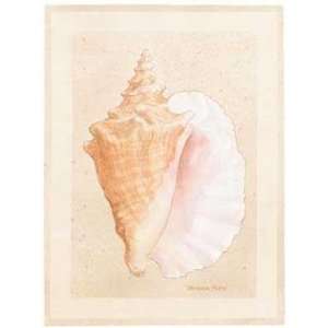Sand Shells Conch Poster Print 
