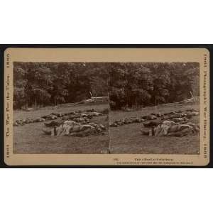 Union (i.e. Confederate) dead at Gettysburg 