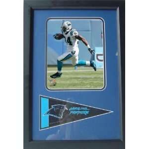 DeAngelo Williams Photograph with Team Pennant in a 12 x 18 Deluxe 