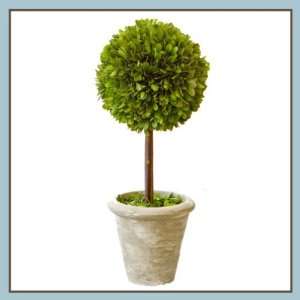  Boxwood Topiary Single Ball 16 inch, Set of 2