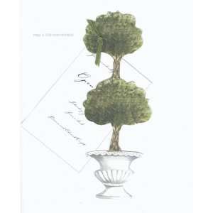   Streck Designs AW793 Topiary with Green Ribbon Tag