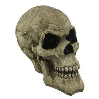 Anatomic Human Skull Lidded Candy Dish Stash Box 