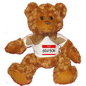  HELLO my name is GRAYSON Plush Teddy Bear with WHITE T 