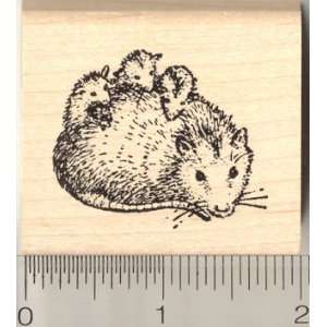  Small Opossum Ma w/ Babies Rubber Stamp Arts, Crafts 