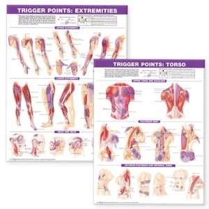 Trigger Point Chart Set Torso and Extremities Anatomical Chart 