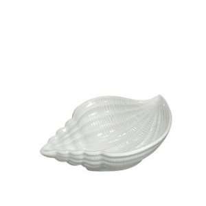  Andrea By Sadek Conch Shell Miniature Bowl  white (set Of 
