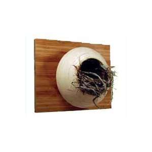  Amaranth Stoneware Ltd Meadow Nest Box Patio, Lawn 