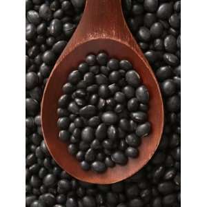   Heirloom Soybean Seeds Soy Bean~Black Edimame Patio, Lawn & Garden