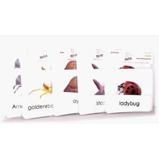  Invertebrates 3 Part Card Starter Set (5 Mini Packs 