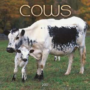  Cows 2007 Calendar (9781421614014) Books