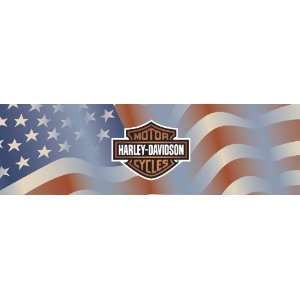   Point Americana Harley Davidson Window Graphic