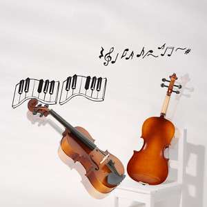 Natural Acoustic Violin Case Bow 1/8 1/4 1/2 3/4 4/4  