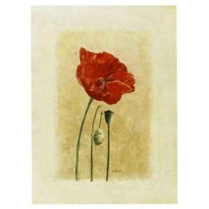Coquelicot 1 by Laurence David 12x16 