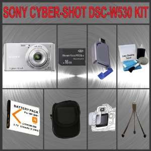  Sony Cyber Shot DSC W530 Digital Camera (Silver) + Huge 