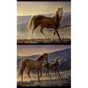   Glazier   Blaze and Star & Her Foal 2 Print Suite