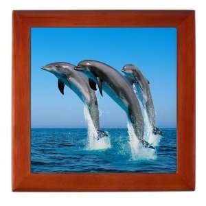  Keepsake Box Mahogany Dolphins Dancing 