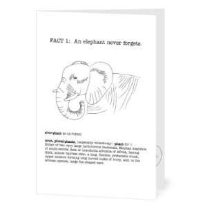   Cards   Belated Facts By Magnolia Press