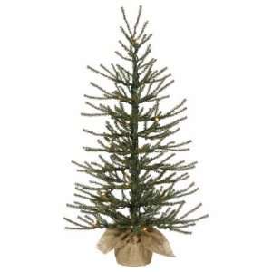  Vickerman B105125 24 in. x 14 in. Frosted Angel Pine 20CL 
