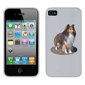  Sheltie on Verizon iPhone 4 Case by Coveroo  Players 