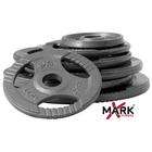 Xmark Fitness XMark 455 lb. Hammerstone Gray Olympic Plate Gym Weight 