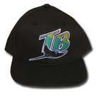   Enterprises MLB NEW YORK YANKEES BROWN FLEX FIT TODDLER KID CAP HAT