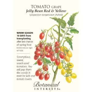  Jelly Bean Red & Yellow Grape Tomato Seeds Patio, Lawn 