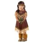   Costumes Lil Indian Princess Toddler / Child Costume / Brown   Size