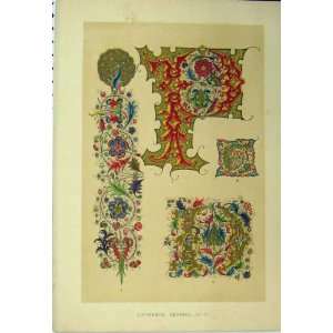 Calligraphy Design Colour Print C1882 Fifteenth Century