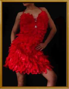 Custom Feather Fancy Dance Drag Queen Salsa Latin Dress  