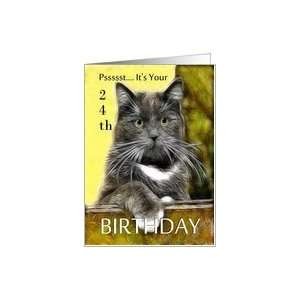    Birthday ~ Age Specific 24th ~ Cat in a box Card Toys & Games