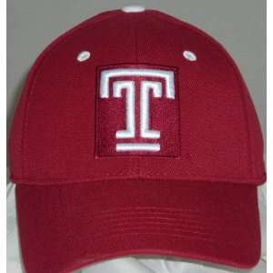 Temple Owls Wool Team Color One Fit Hat