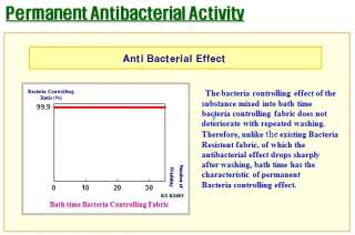 Permanent Antibacterial Activity
