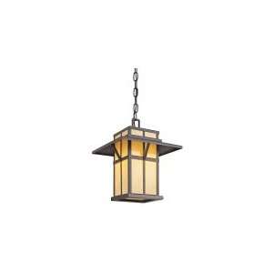  Booth Bay 1 Light Outdoor Hanging Lantern in Architectural Bronze 