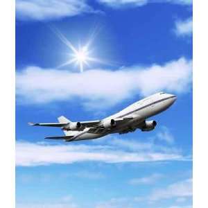 Airliner Aircraft in the Blue Sky   Peel and Stick Wall Decal by 