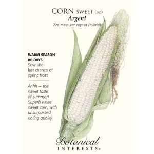  Corn Sweet Argent White Seed Patio, Lawn & Garden