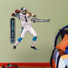 Carolina Panthers Posters   Posters/Wall Clings   