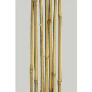  Bamboo Garden Stakes 3/8 X 5 Feet, 15 Poles Per Carton 