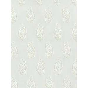  Beacon Hill BH Kimball   Frost Fabric