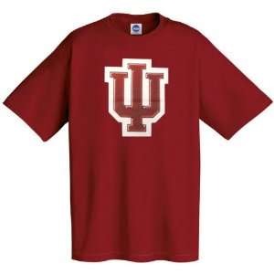Indiana Hoosiers Logo Tech T Shirt 