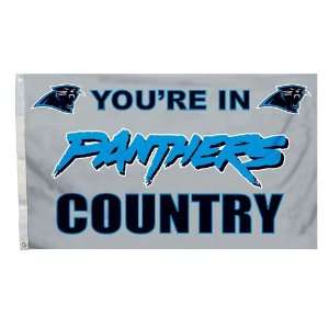     Carolina Panthers NFL Youre in Panthers Country 3x5 Banner Flag