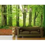 FotoTapete No.135 THE GROVE BEECH 400x280cm Natur, Wald, Buchen 